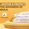Calendula Ointment - 25gm