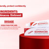 Echinacea Ointment - 25gm