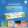 Cardiospermum Helicacabum Ointment - 25gm