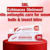 Echinacea Ointment - 25gm