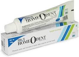 SBL Homeodent Tooth Paste (Saunf) - 100 GM