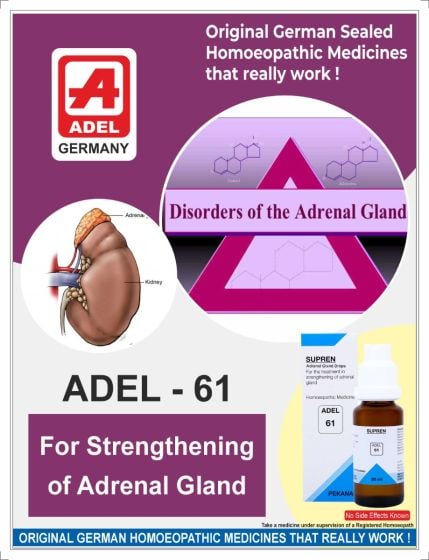 ADEL 61 - Adrenal Gland Drops