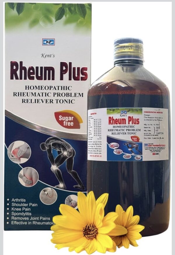 KENT RHEUM PLUS SYP 450 mL pack