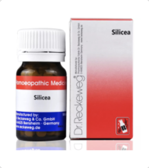 Dr Reckeweg & Co. Silicea Biochemic Tablet