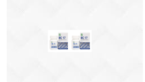 Dr Willmar Schwabe India Bio-Combination 17