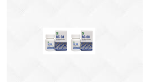 Dr Willmar Schwabe India Bio-Combination 08