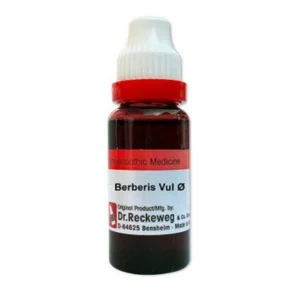 Dr. Reckeweg Berberis Vulgaries Q Mother Tincture Liquid, Treatment: Kidney Stones And Pains